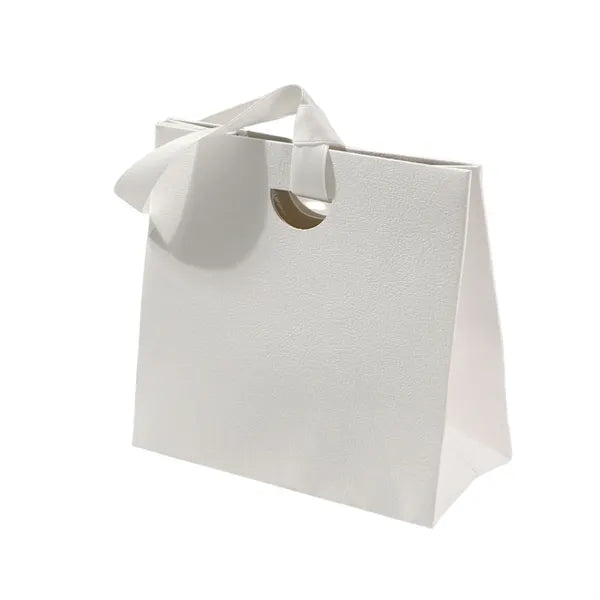 Paper Carry Gift Bag