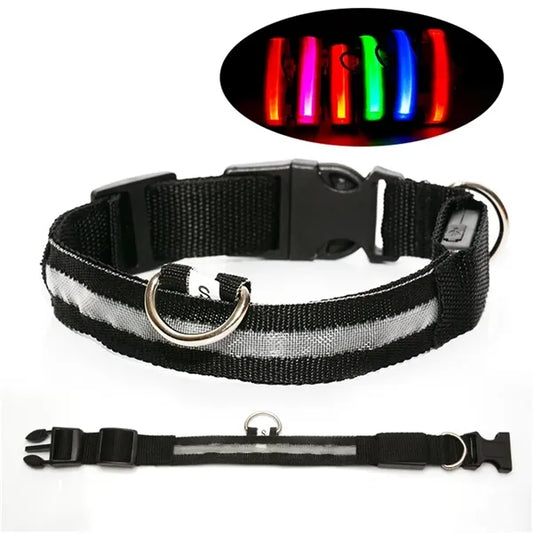 Rechargeable Led Dog Collar