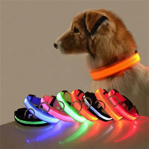 Rechargeable Led Dog Collar