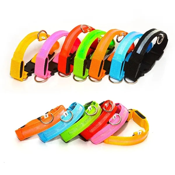 Rechargeable Led Dog Collar