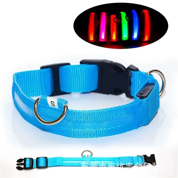 Rechargeable Led Dog Collar