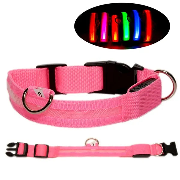 Rechargeable Led Dog Collar