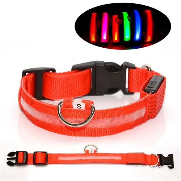 Rechargeable Led Dog Collar
