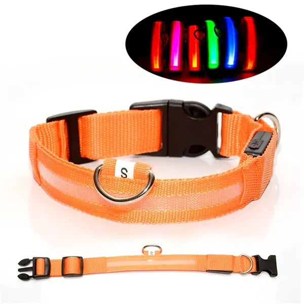 Rechargeable Led Dog Collar