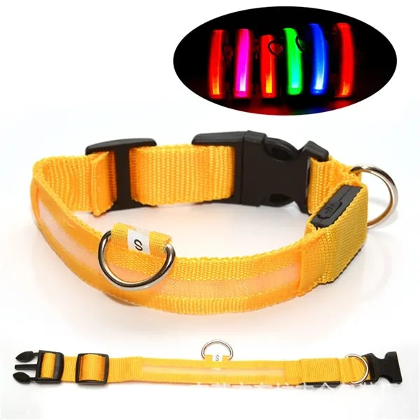 Rechargeable Led Dog Collar