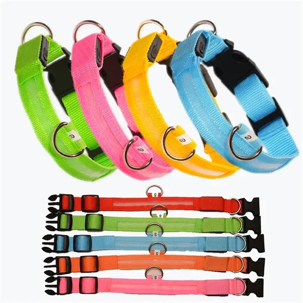 Rechargeable Led Dog Collar