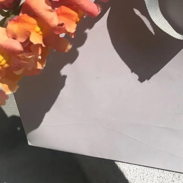 Luxury Custom Cowhide Paper Gift Bag
