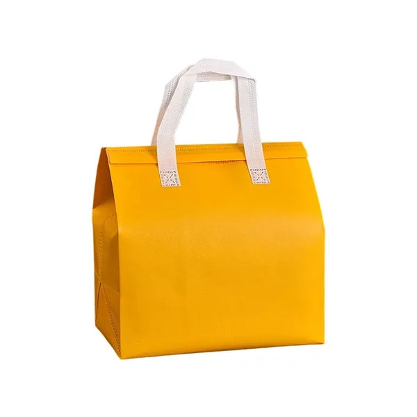 Insulated Cooler Bag