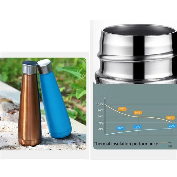 15.4 oz Insulated Stainless Steel Water Bottle