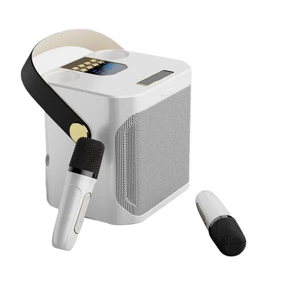 Portable Bluetooth Speaker with Dual Microphone