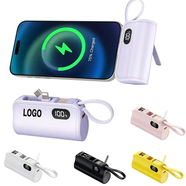 Portable Power Bank