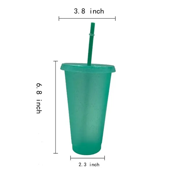24 Oz Water Bottle Travel Mug Cup With Lids And Straws