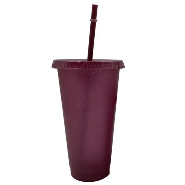 24 Oz Water Bottle Travel Mug Cup With Lids And Straws