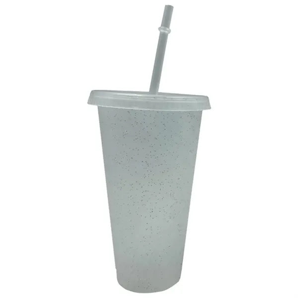 24 Oz Water Bottle Travel Mug Cup With Lids And Straws