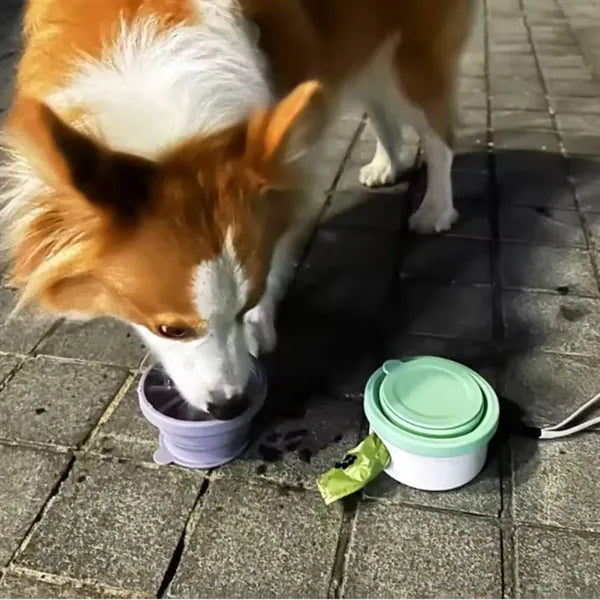 Collapsible Silicone Dog Bowl with Waste Bag and Travel Cup