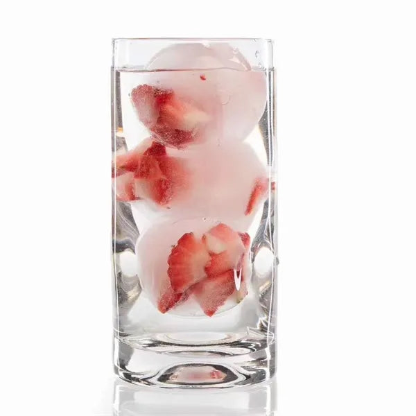 4 Hole Ice Ball Maker
