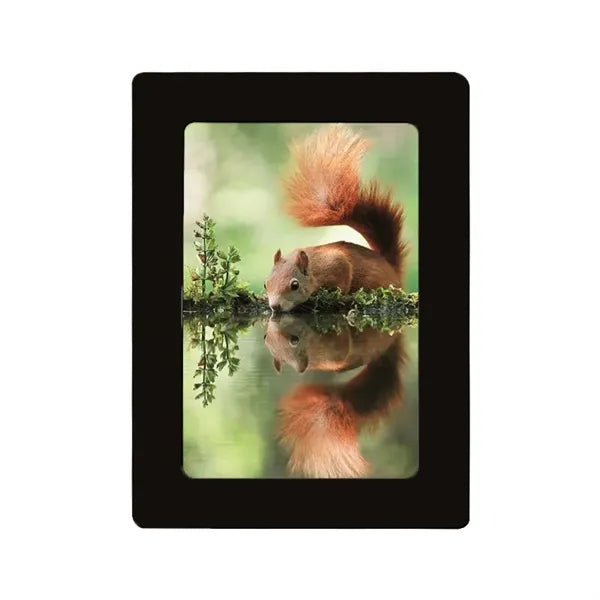 Magnetic Photo Frames