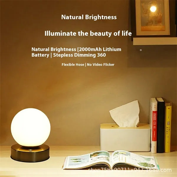 Rechargeable Touch Study Lamp with Night Light