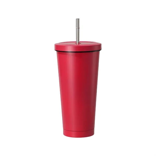 25oz 304 Stainless Steel Large-Capacity Vacuum Straw Cup