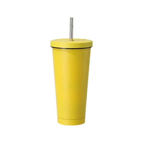 25oz 304 Stainless Steel Large-Capacity Vacuum Straw Cup