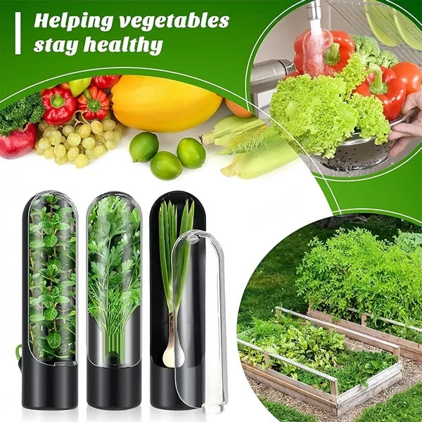 Vegetable Fresh-Keeper Container