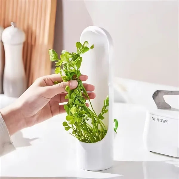 Vegetable Fresh-Keeper Container