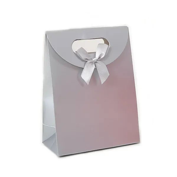 Paper Gift Bag