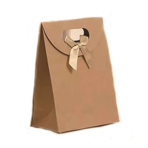 Paper Gift Bag