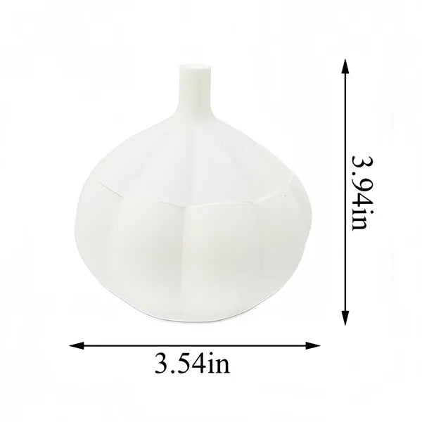 Creative Garlic Shaped Spice Container Free Shipping