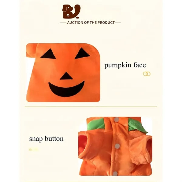 Pet Halloween Pumpkin Costume For Dogs