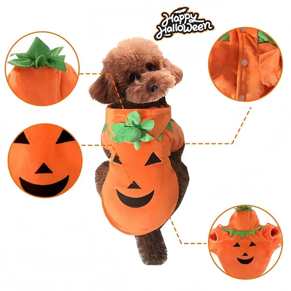 Pet Halloween Pumpkin Costume For Dogs