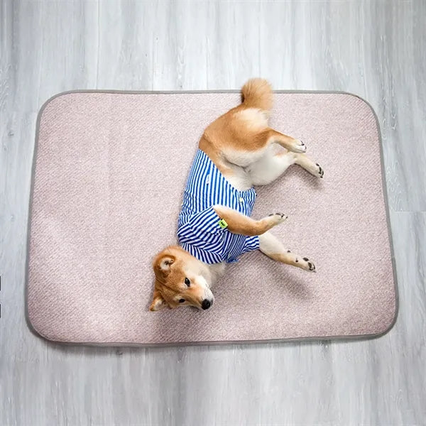 Durable Ultra-Soft Absorbent Quick-Dry Non-Slip Mat