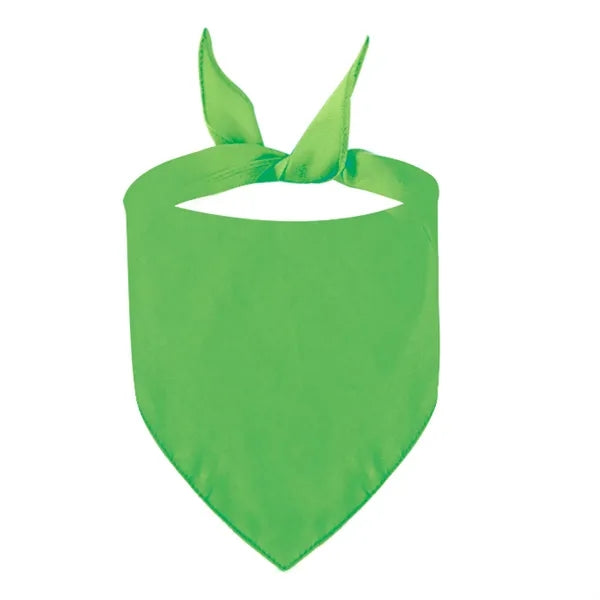 Polyester Pet Triangle Scarf
