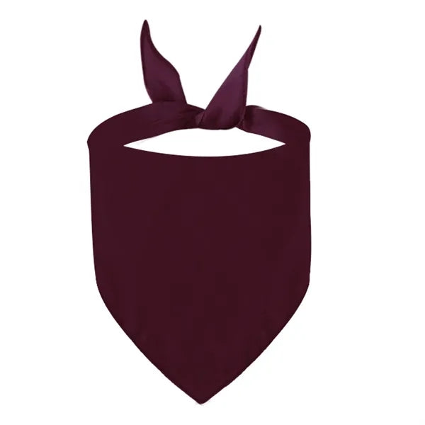 Polyester Pet Triangle Scarf