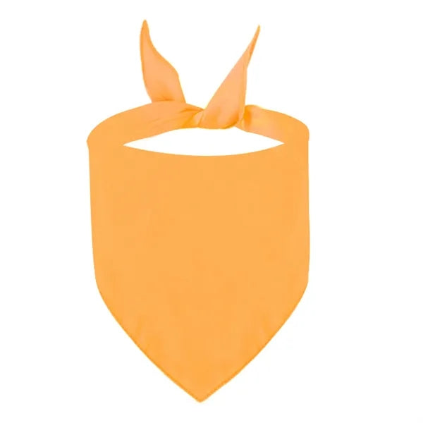 Polyester Pet Triangle Scarf