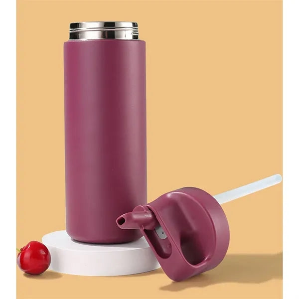 Double-Wall Stainless Steel Insulated Tumbler with Straw