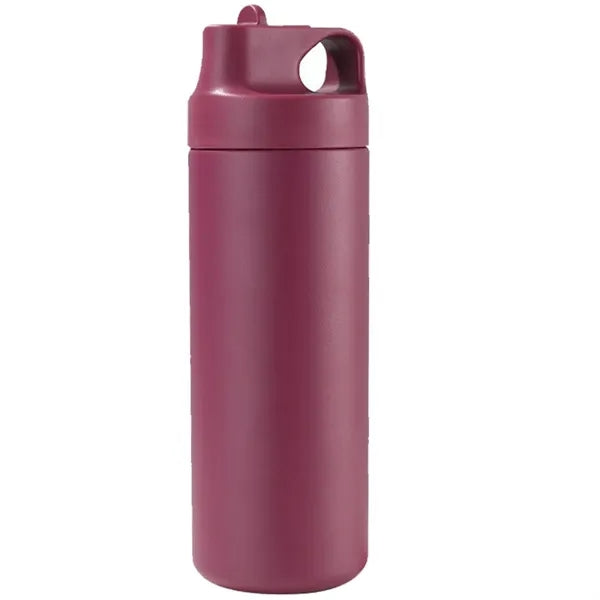 Double-Wall Stainless Steel Insulated Tumbler with Straw