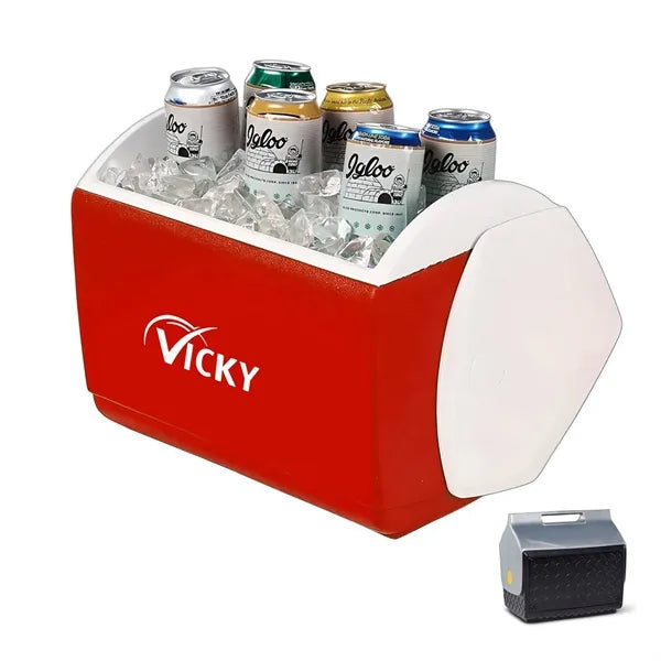 Insulated Portable Cooler