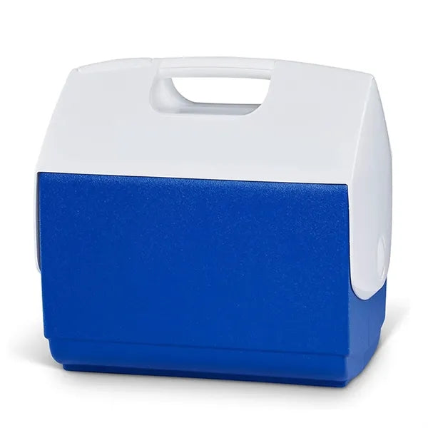 Insulated Portable Cooler