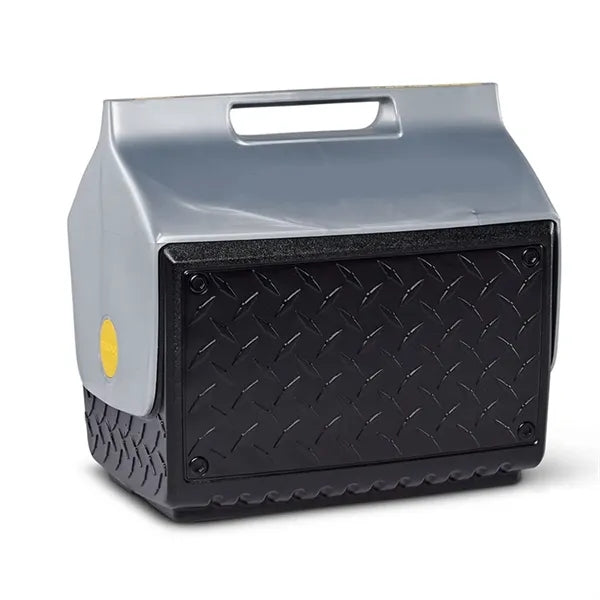 Insulated Portable Cooler