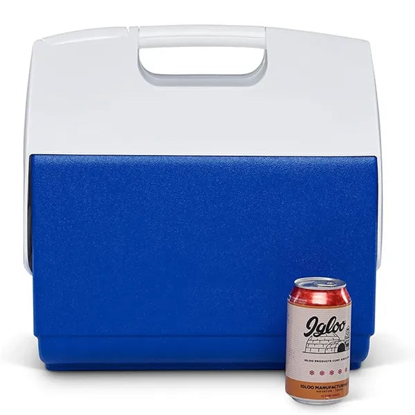 Insulated Portable Cooler