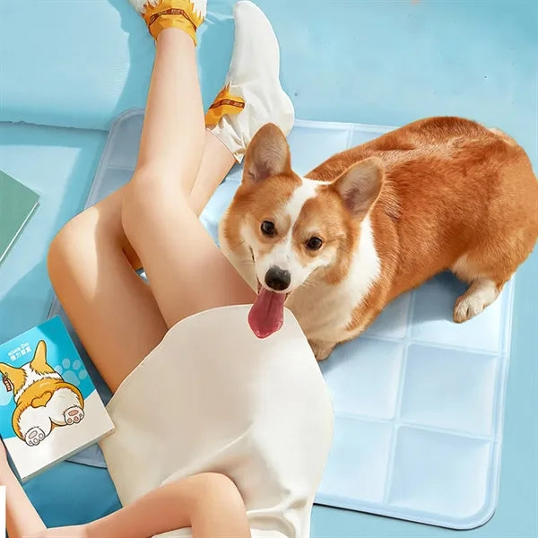 Pvc pet ice pad cooling cat litter