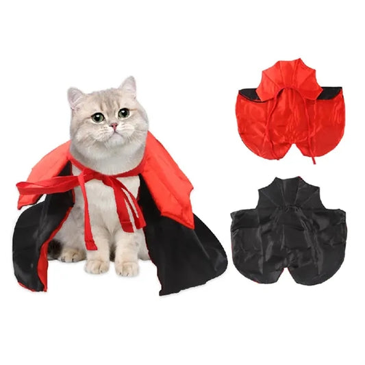 Cats and dogs' Halloween costumes