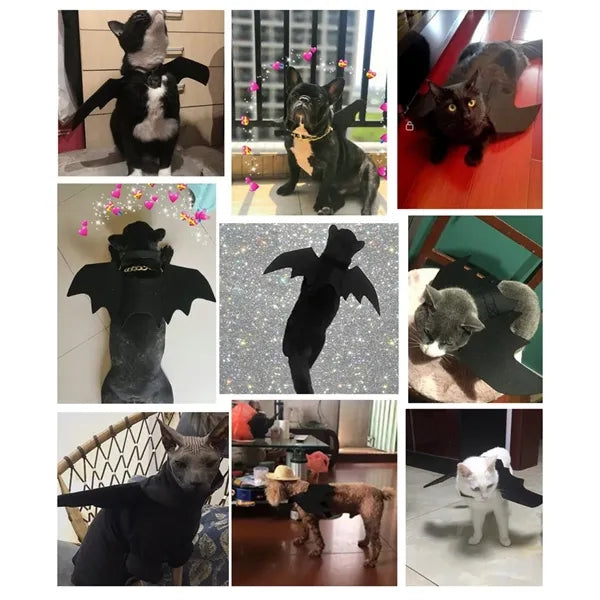 Pet coats