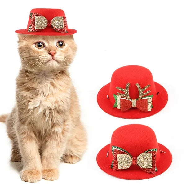 Christmas cat and dog hats