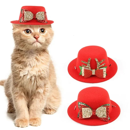 Christmas cat and dog hats
