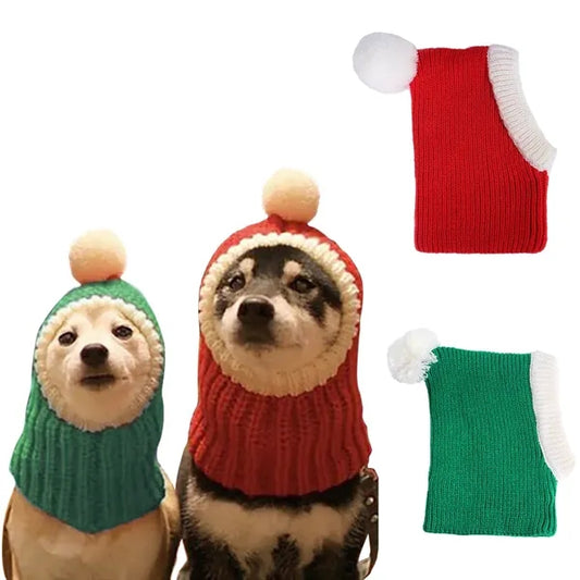 Christmas cat and dog hats