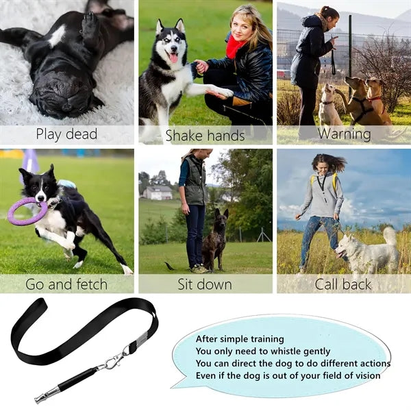 Silent Dog Whistle to Stop Barking Neighbors Dog