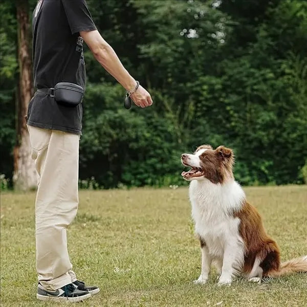 Silicone Dog Training Bag