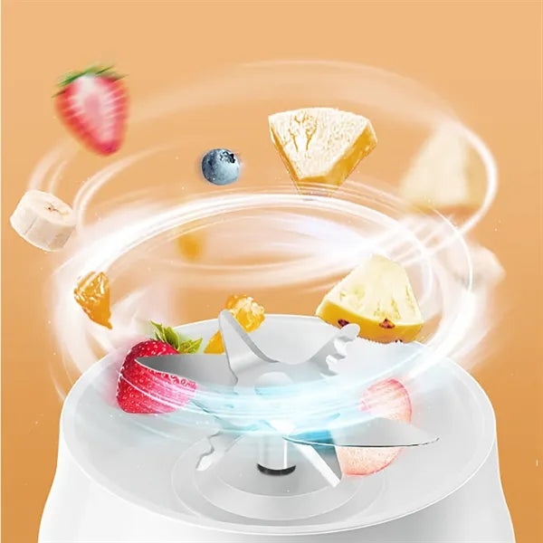 Fruit Juicer